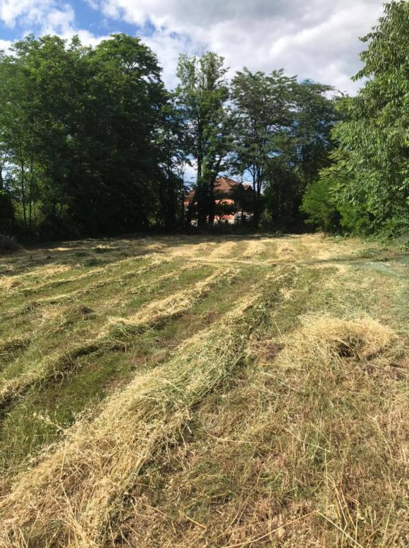 Земельный участок в Golubovci, 1019 m²