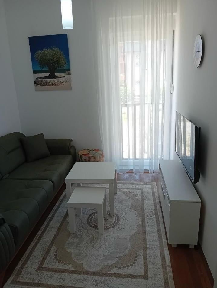 One Bedroom Apartment for Rent, 30m2, Central Point, Podgorica
