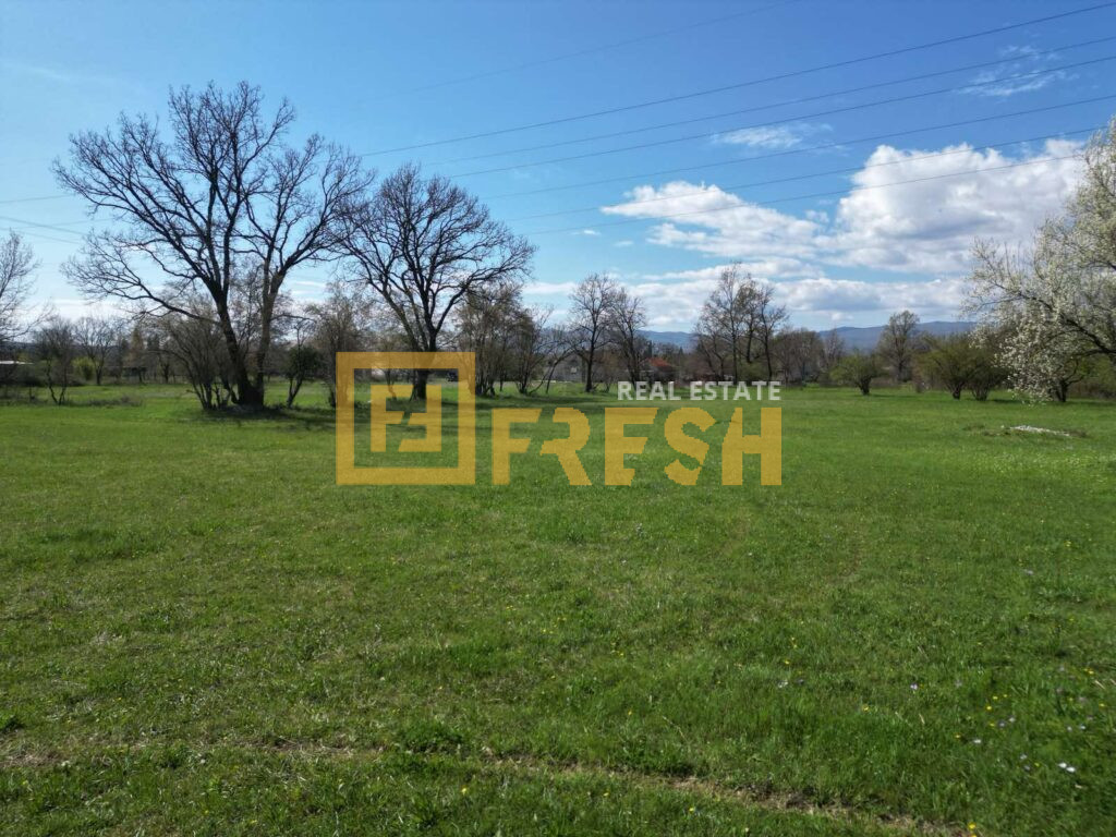 Plac, 1000m2, Donji Martinići, Prodaja