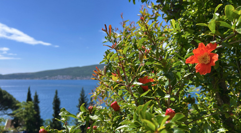 Two-bedroom apartment with private garden in Baoshichi, Herceg Novi