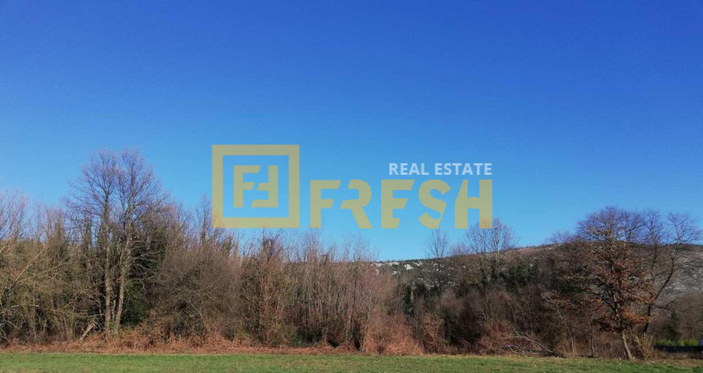 Plac, 6100m2, Danilovgrad, Prodaja