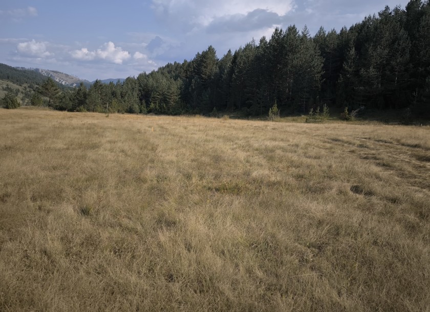 Prodajem Zemljište, Žabljak