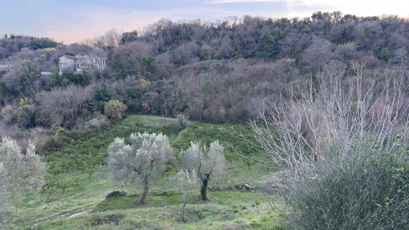 Land for Sale, Ulcinj — €650,000