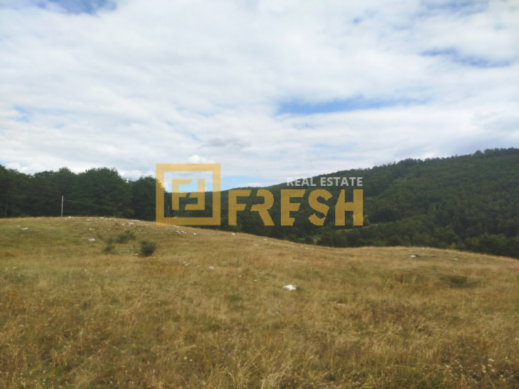 Zemljište, 20 000m2, Nikšić, Prodaja