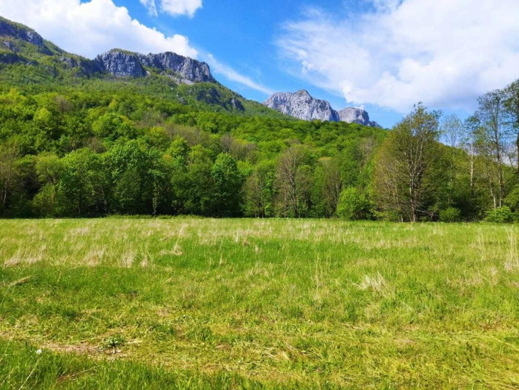Land plot in Kolashin, 10000 m²
