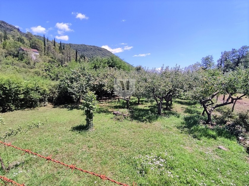 Land for sale, Sutorina