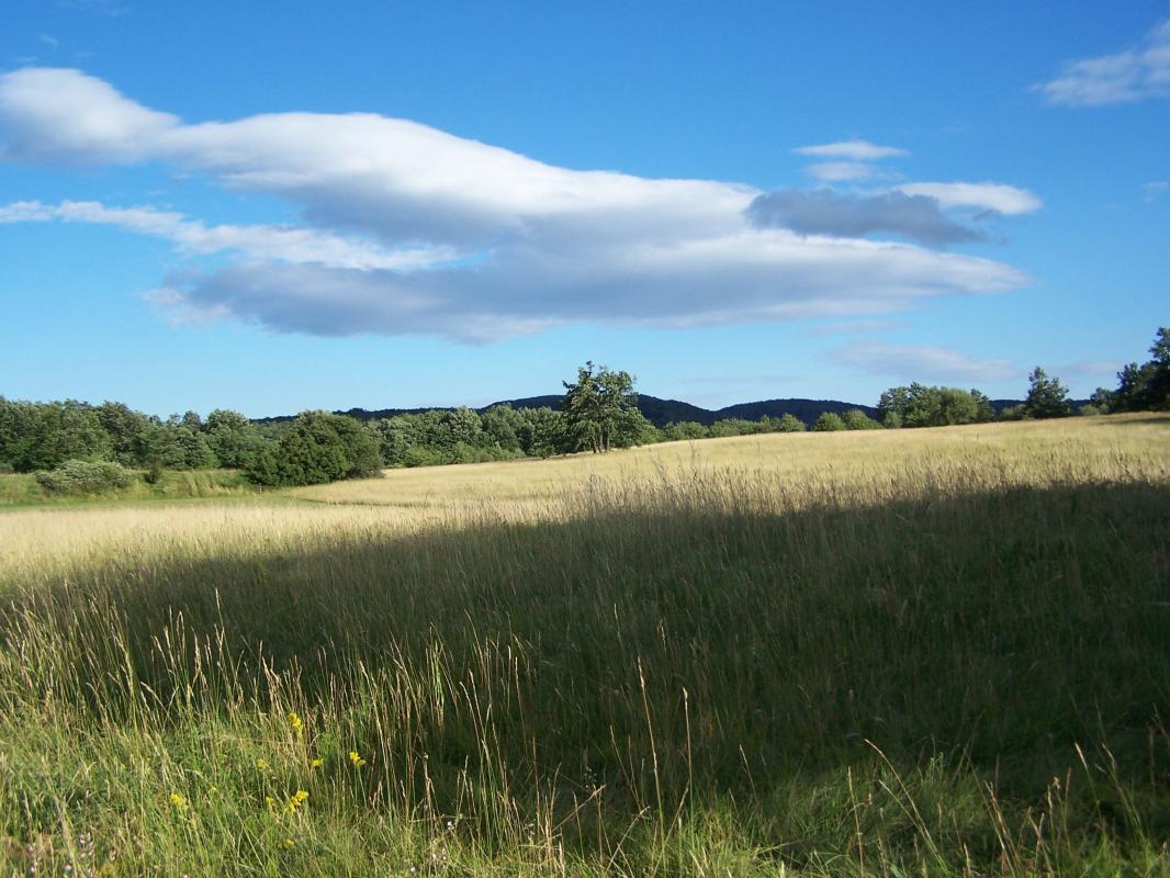 Land plot in Danilovgrad, 7000 m²