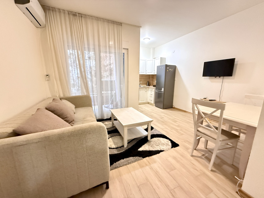 Apartment For Sale, Budva