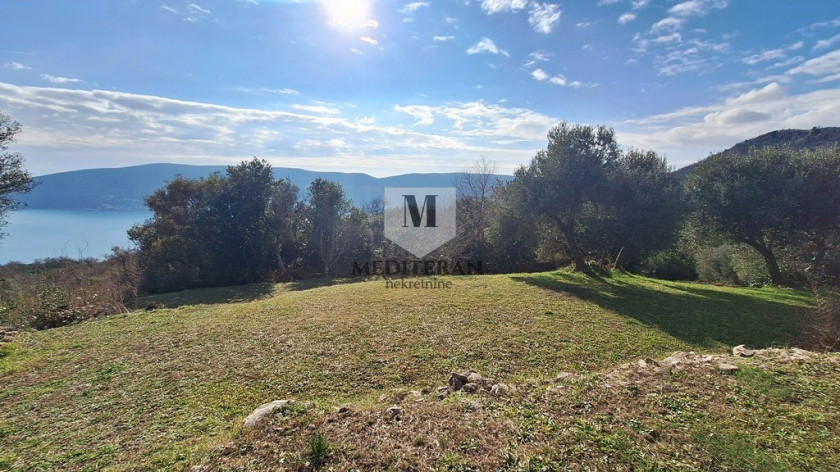 Prodajem Zemljište, Trebesin