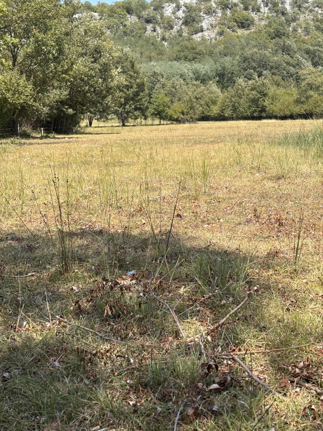 Land for Sale, Danilovgrad — €13