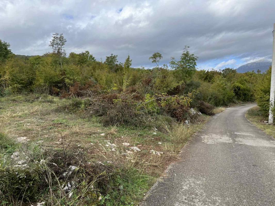 Земельный участок в Danilovgrad, 19808 m²