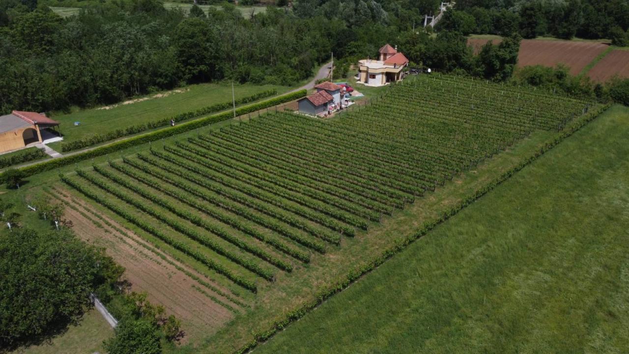 Commercial property in Danilovgrad, 300 m²