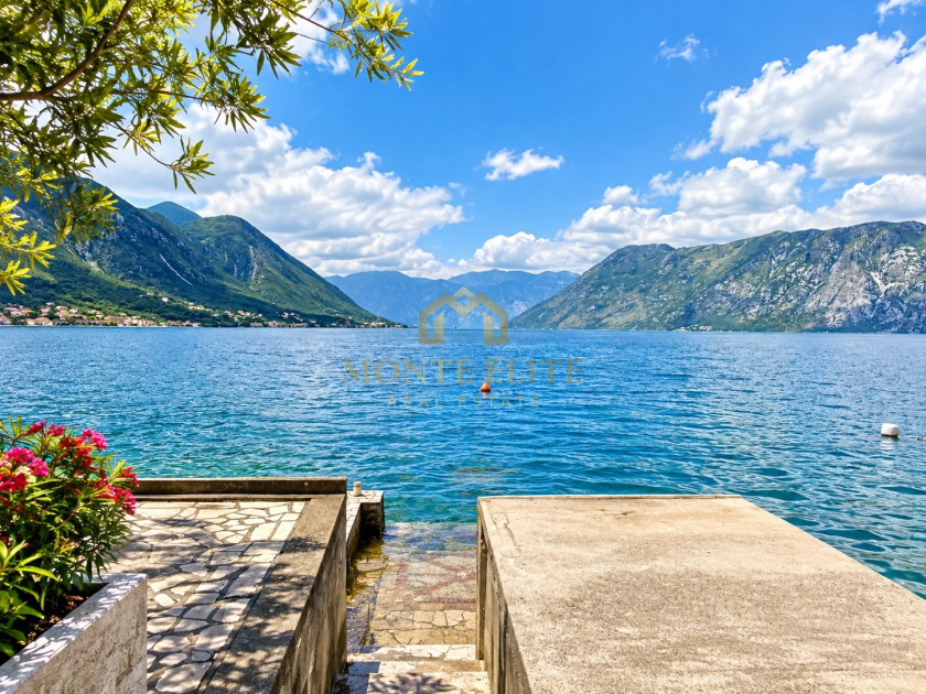 Kotor
