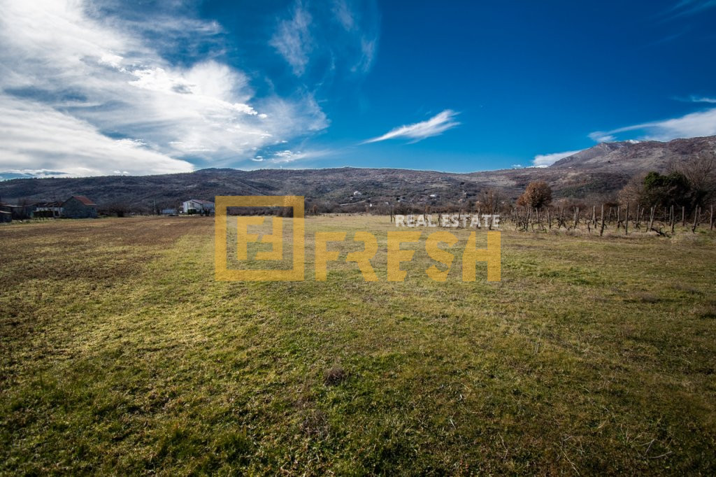 Plac, 1310m2, Beri, Prodaja