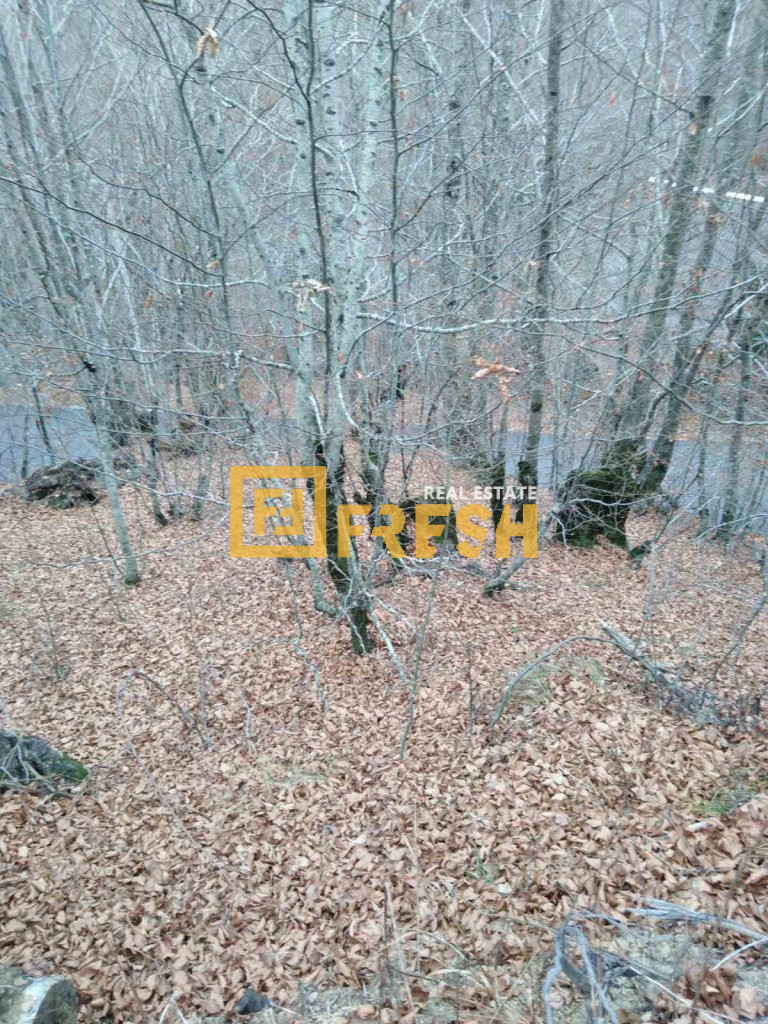 Plot, 500m2, Veruša, For sale