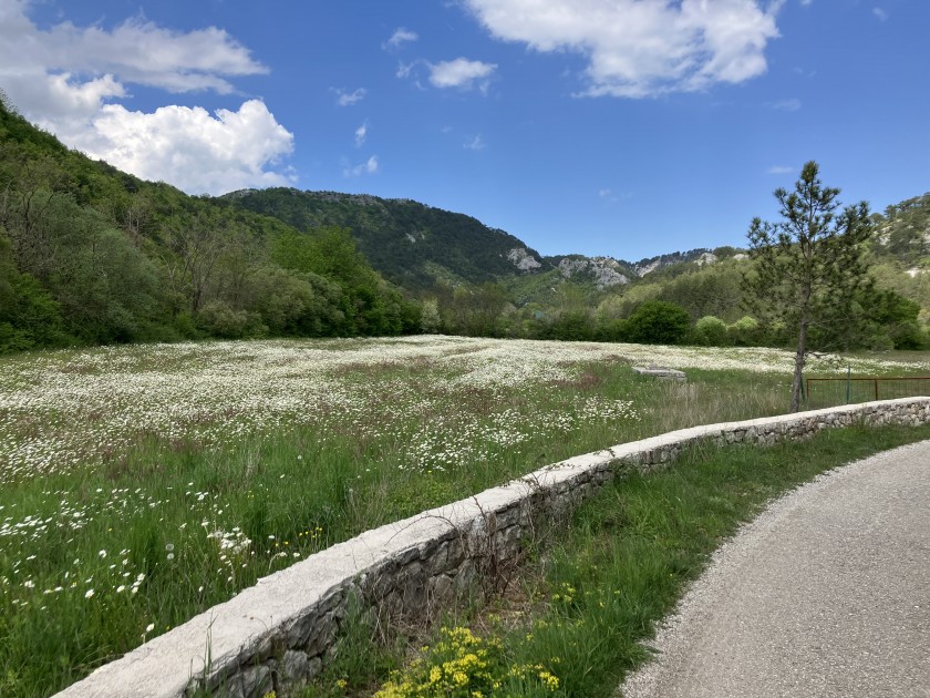 Prodajem Zemljište, Grahovo