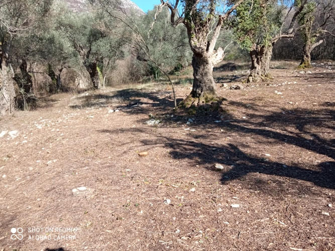 Prodajem Građevinsko Zemljište, Bar