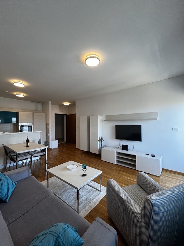 One Bedroom Apartment for Rent, 51m2, City Kvart, Podgorica