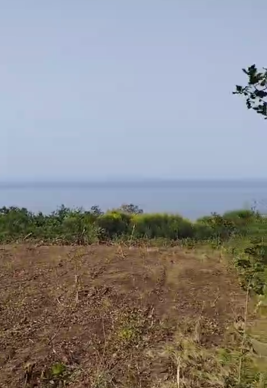 Земельный участок в Dobra Voda, 708 m²