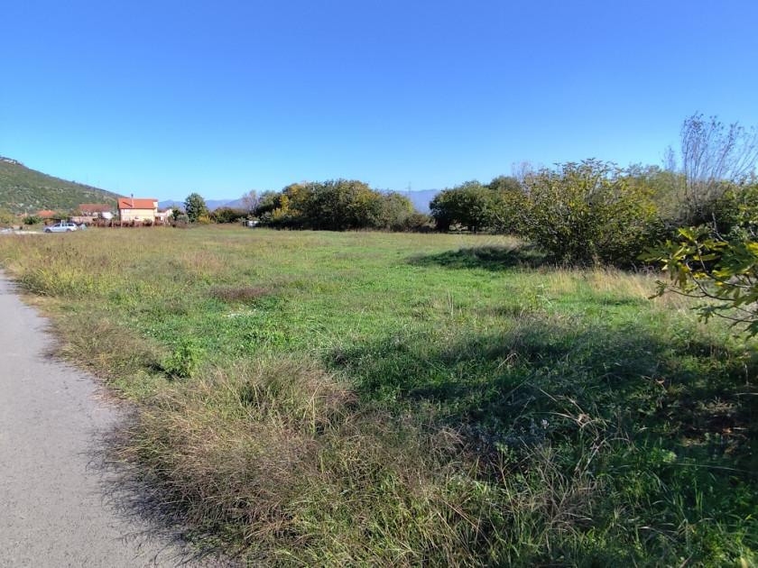 Prodajem Zemljište, Beri