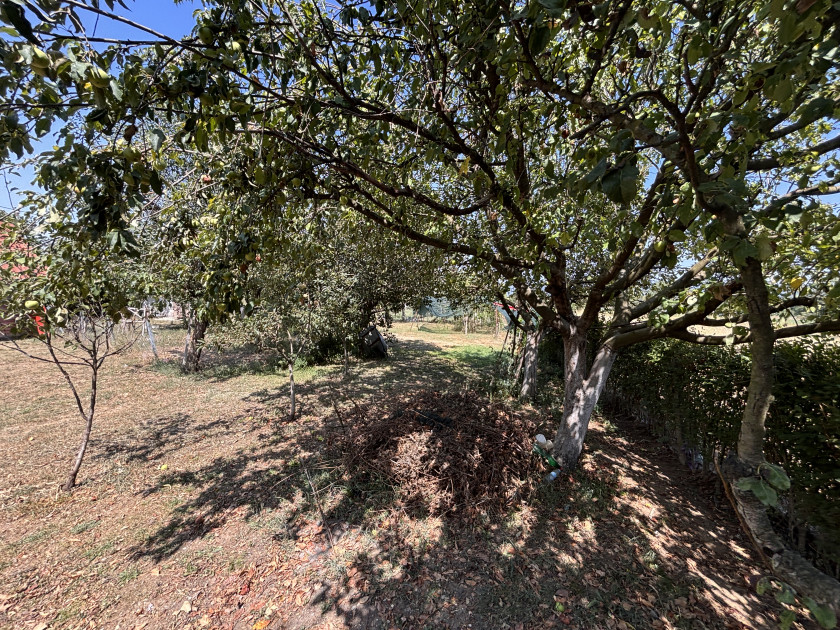 House for Sale, Danilovgrad