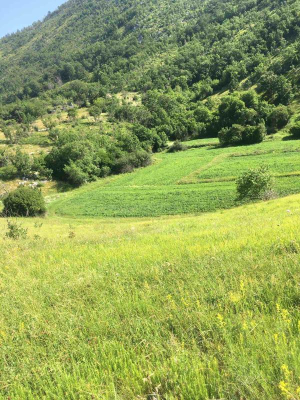 Земельный участок в Danilovgrad, 102000 m²