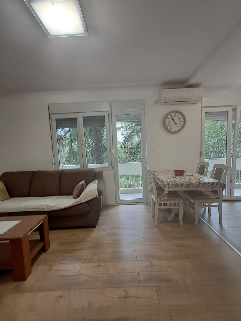 Iznajmljujem Stan-Apartman, Gintaš