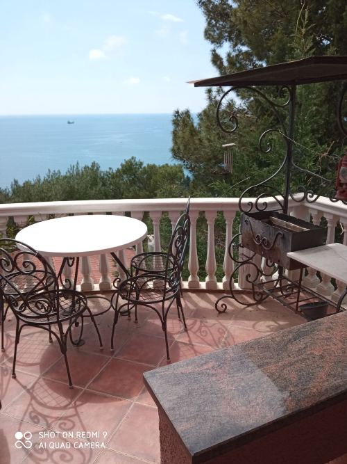 Продается дом, Бар