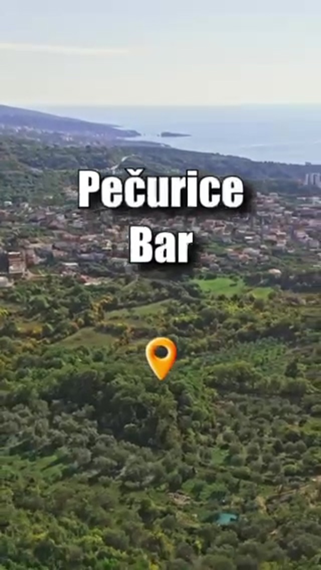 Prodajem Zemljište, Pecurice