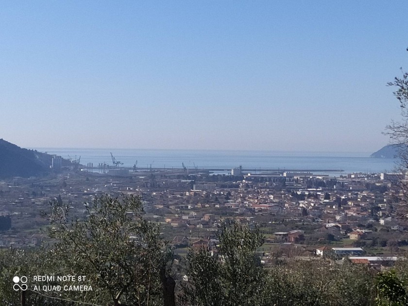 Земля на продажу, Томба