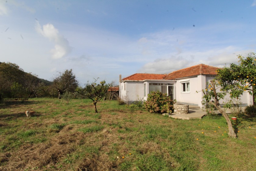 House For Sale, Polje