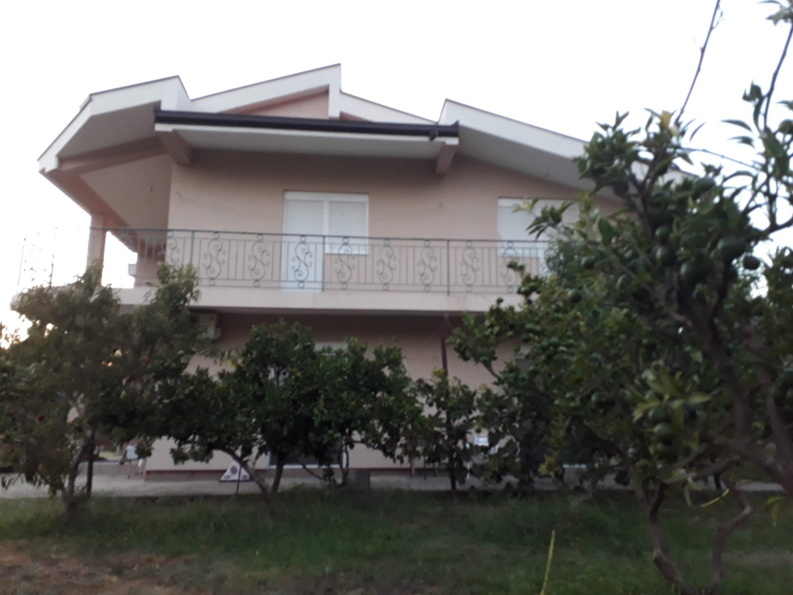 House For Sale, Čeluga