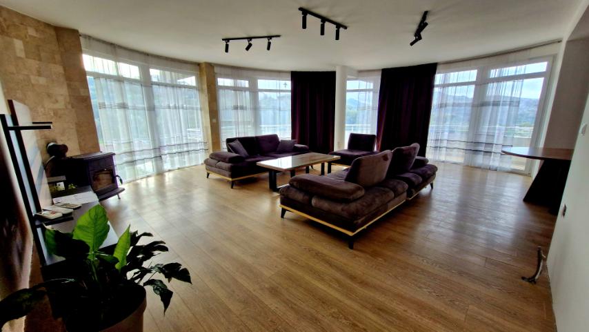 Iznajmljujem Stan-Apartman, Mirovica