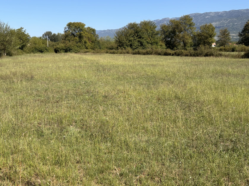 Land for Sale, Danilovgrad — €21