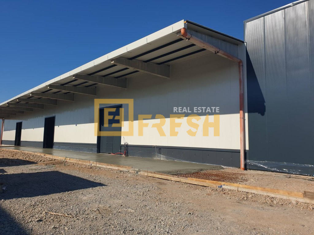 Magacin, 1500m2, Cijevna, Izdavanje