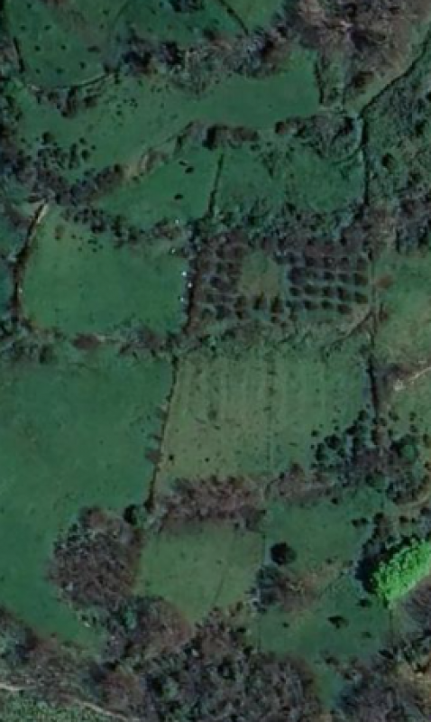 Земельный участок в Zelevo, 6695 m²