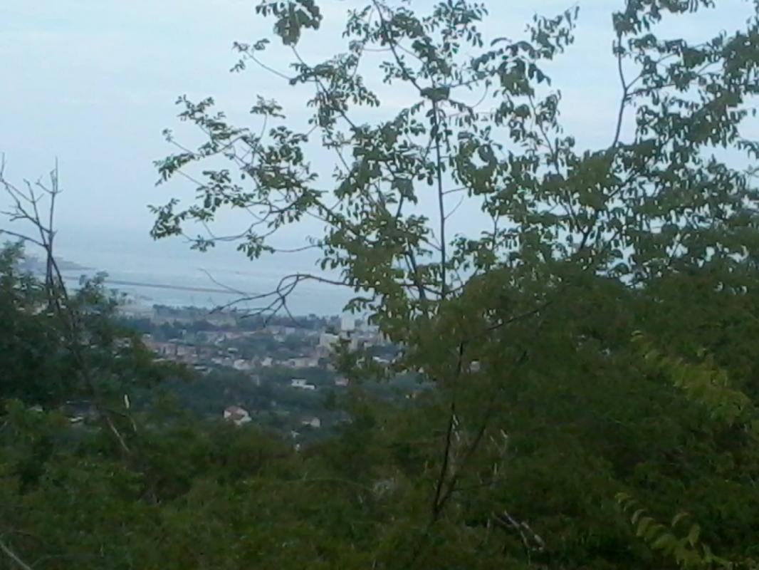 Земельный участок в Zupci, 20752 m²