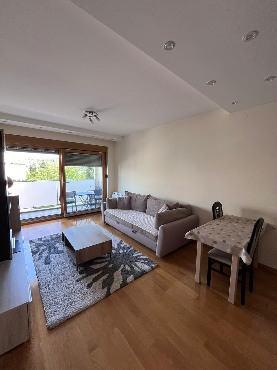 One Bedroom Apertment for Rent,Millennium bridge,Podgorica