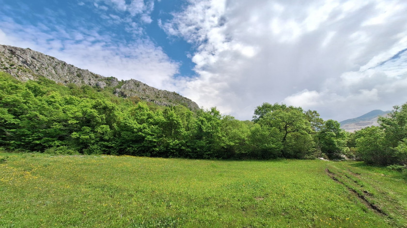 Land For Sale, Sjenice