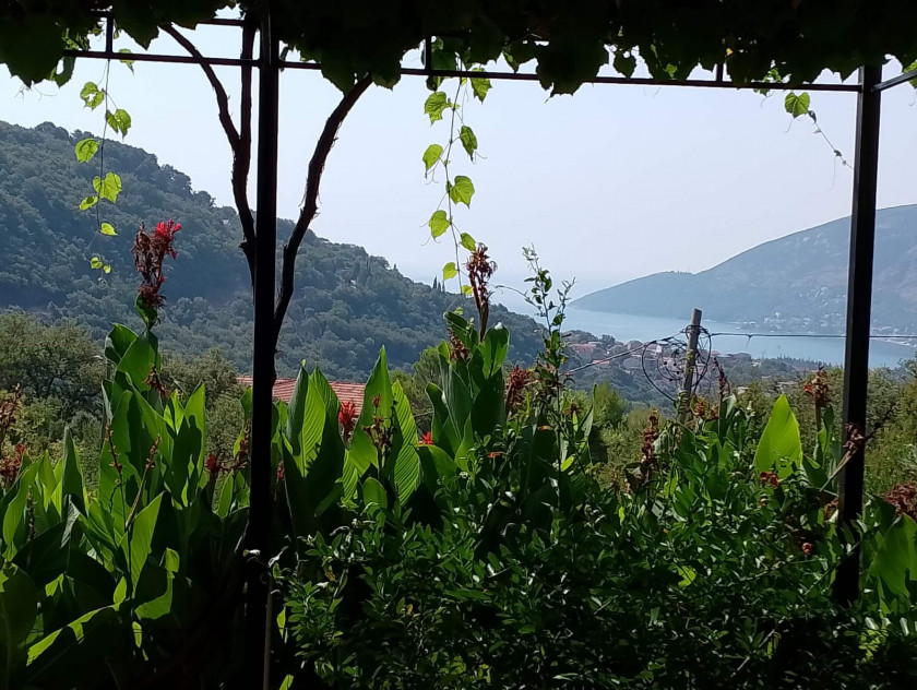 House For Sale, Mojdez