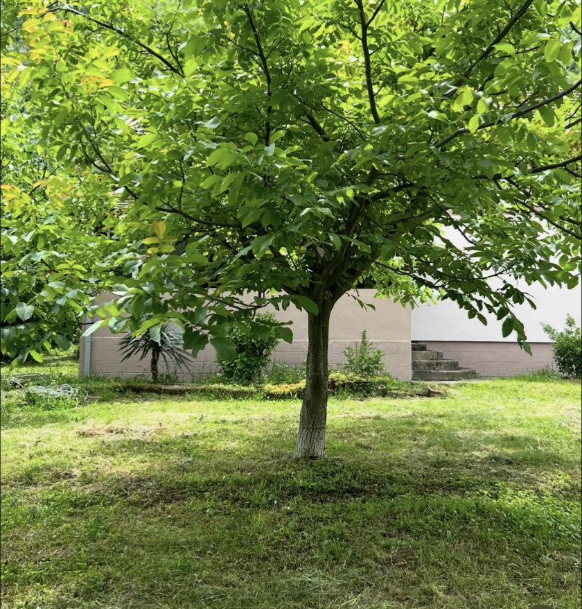 Дом на продажу, Podgorica Okolina — €210,000