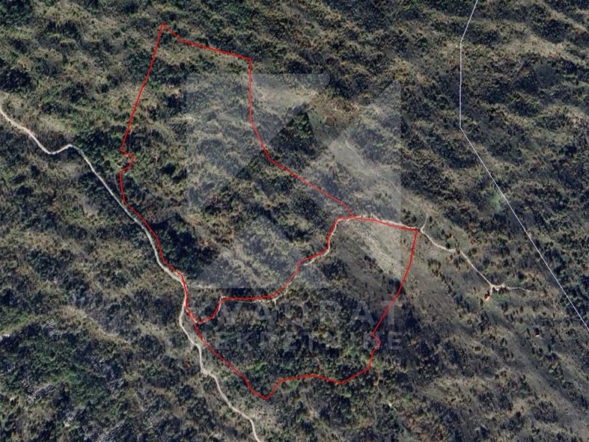 Land Lot for Sale, Cetinje, Velestovo, 266598m2