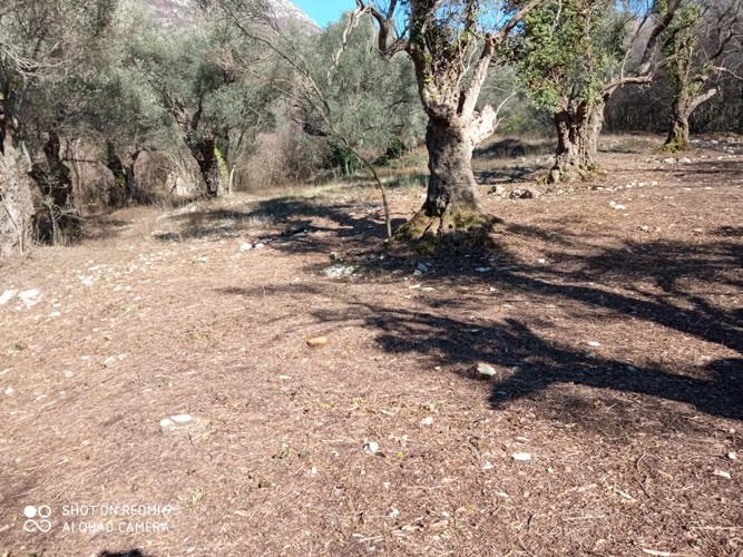 Продажа земли под застройку, Добре Воде