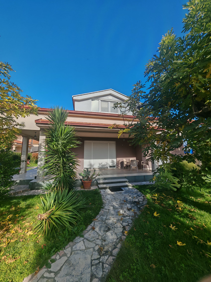 Iznajmljujem Kuću, Tološi