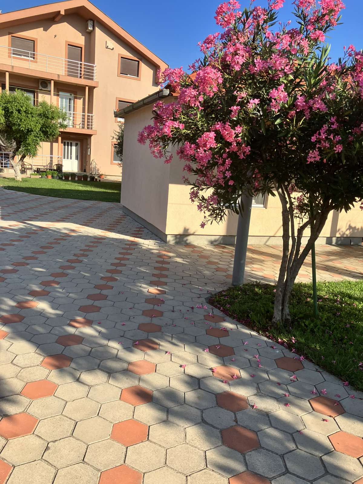 Квартира в аренду, Podgorica — €450