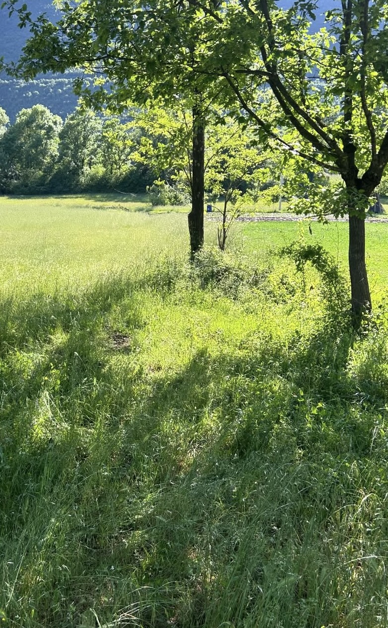 Land for Sale, Danilovgrad — €12,000