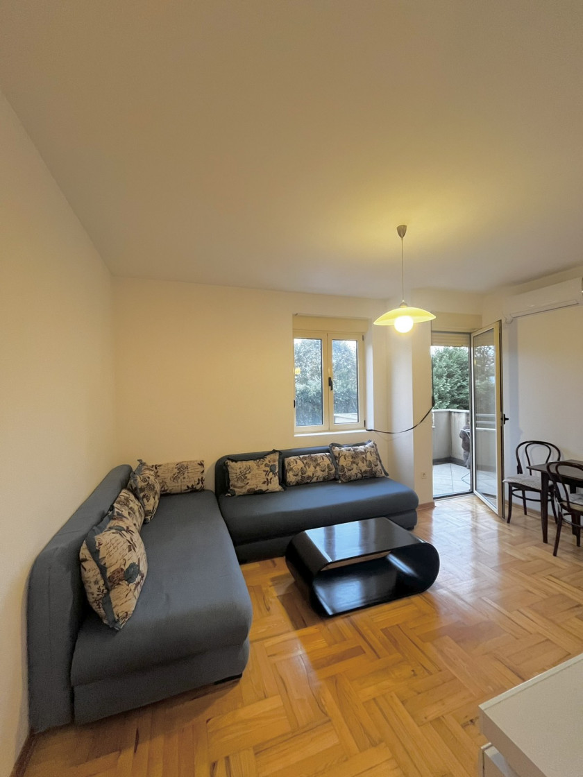 Apartment For Sale, Zabjelo