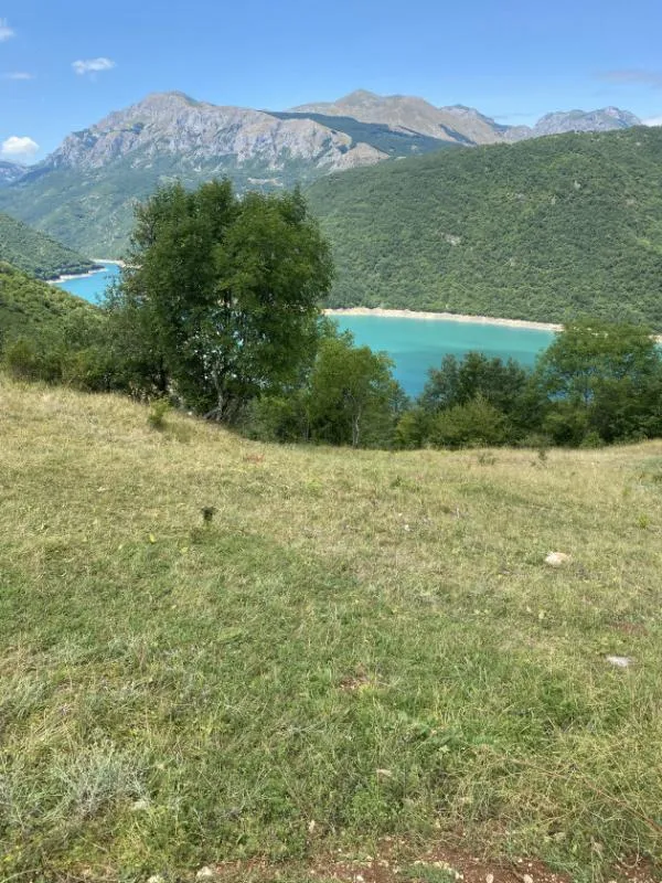 Land plot in Plujine, 17000 m²