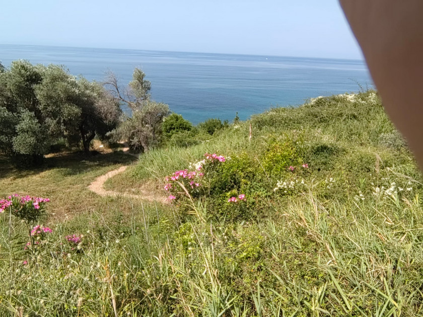 Residential Lot For Sale, Zeleni Pojas