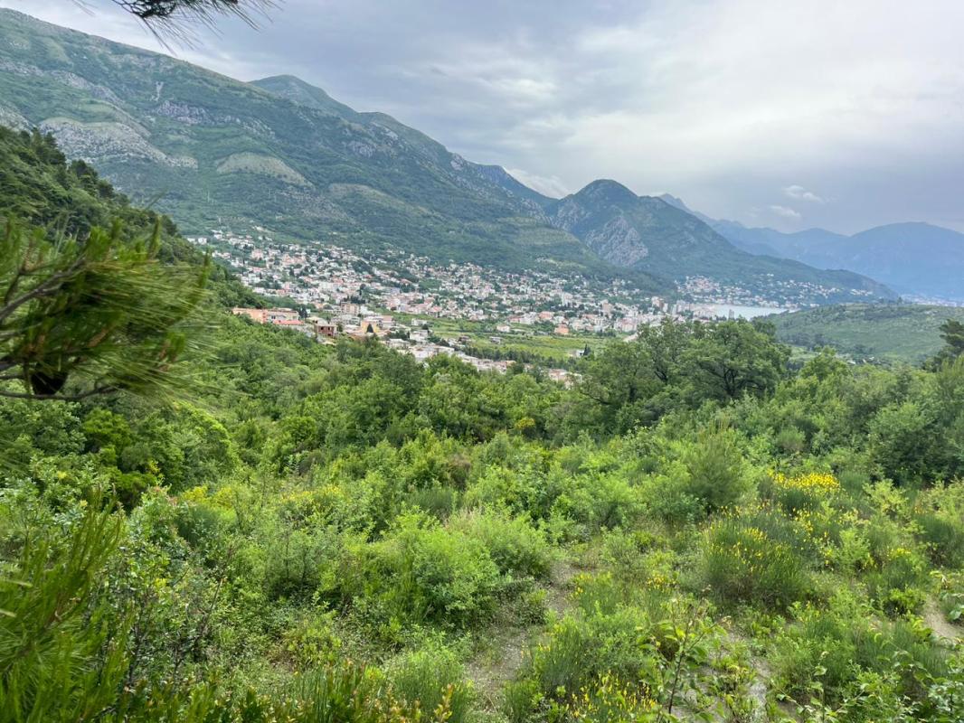 Земельный участок в Zagradzhe , 1690 m²